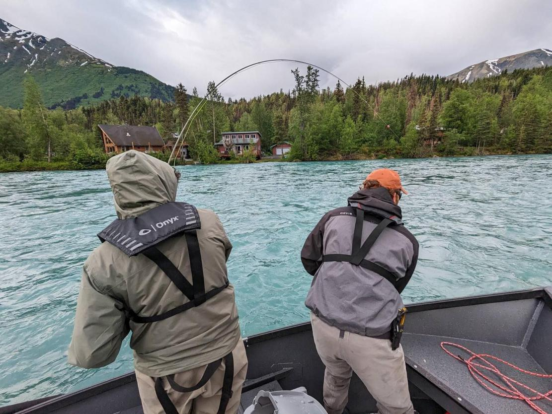 Two experienced guides from Jason's Guide Service work together, casting and reeling in a salmon on the Alaskan Kenai River.